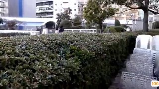 最新更新 盾集域名停放-全球优质行业导航备案网站18🈲
